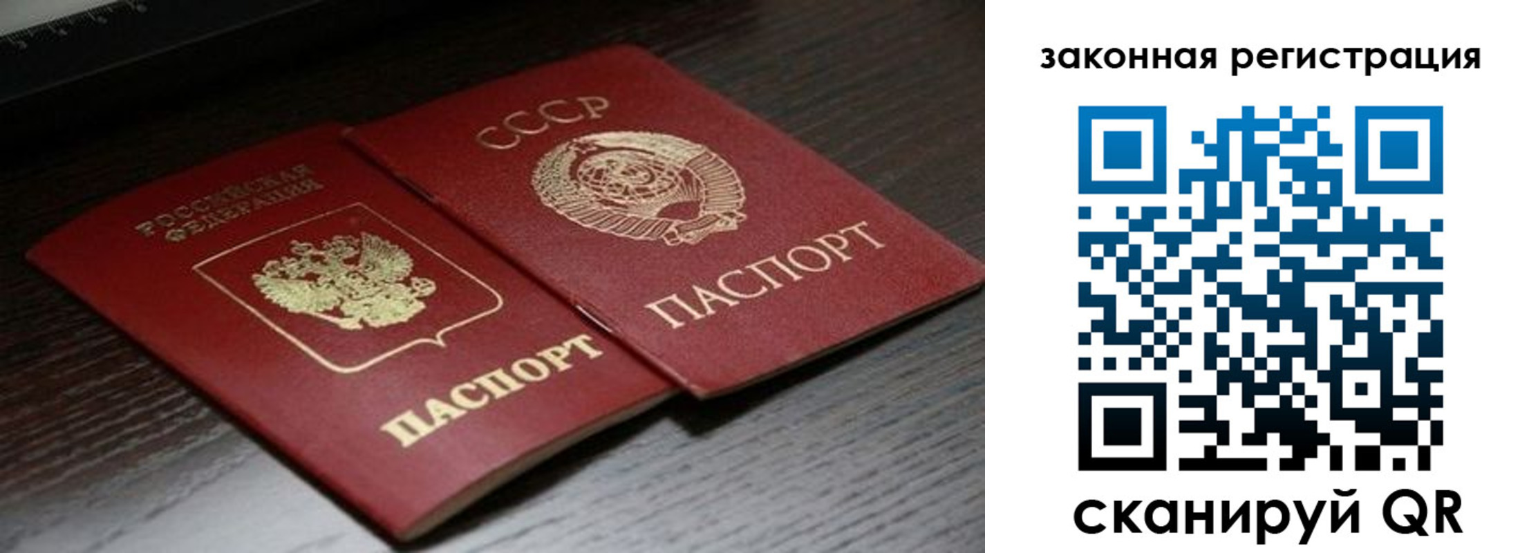 прописка поиск в Химках